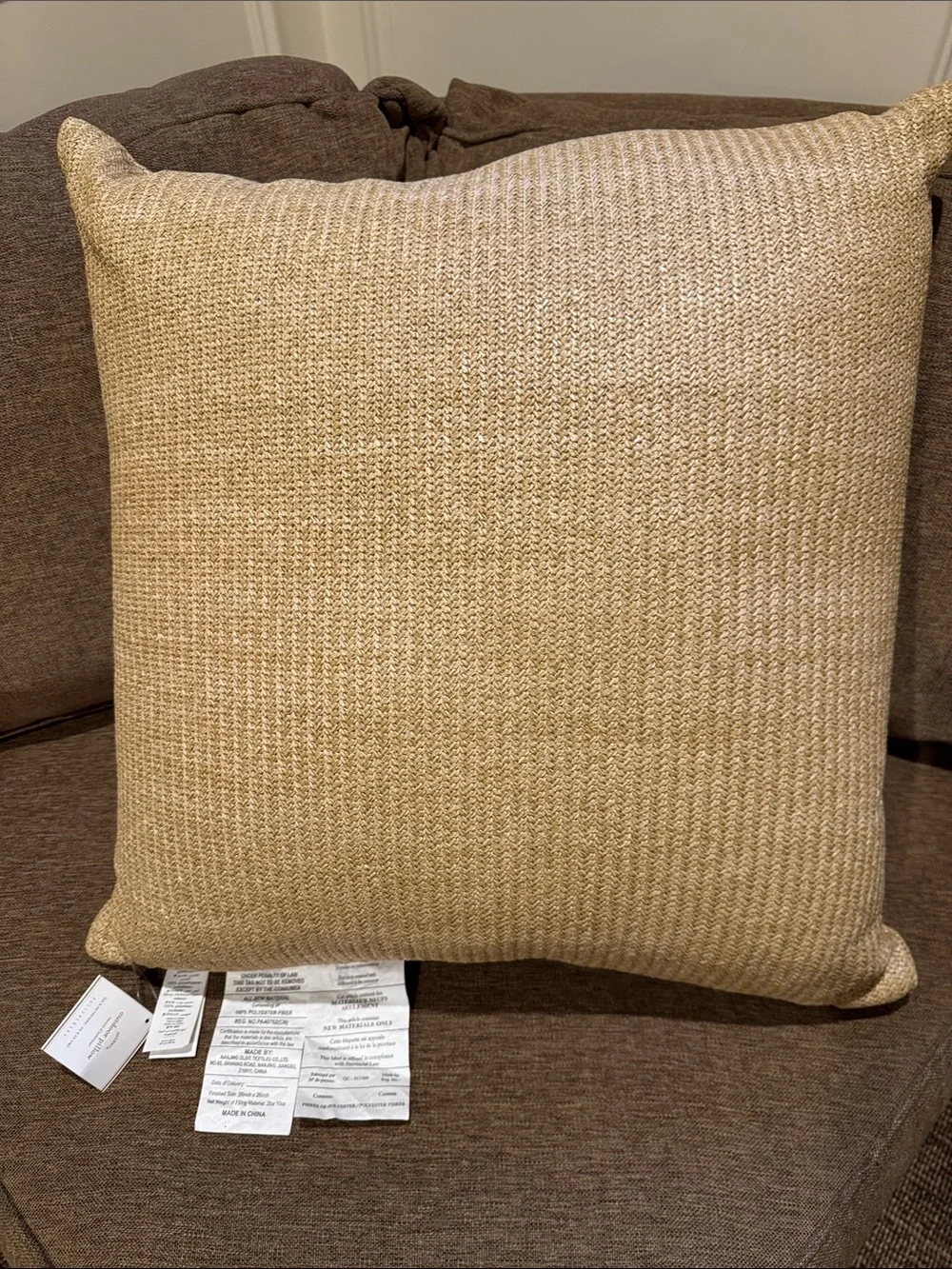NWT POTTERY BARN Natural Fiber Pillows